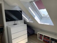 Landhof Usedom, App. Wildrose Bild 7