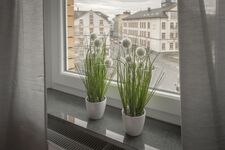 Living Linden Bild 7