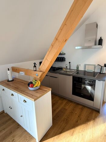 Der Kutscher · Schlössle Lodge am Rhein Bild 2