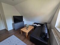 Schwalbennest Bild 4