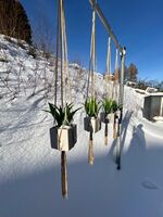 Altenbeken-Ferienwohnung 2 Bild 17