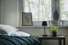 FeWo Apfelbaum Picture 3