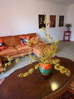 stay comfort kleinbittersdorf Obrázok 10