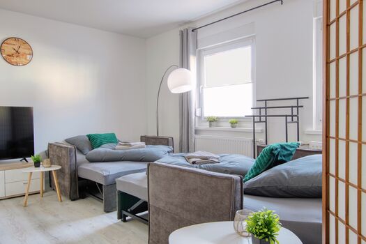 Friedrich Obrázok 3