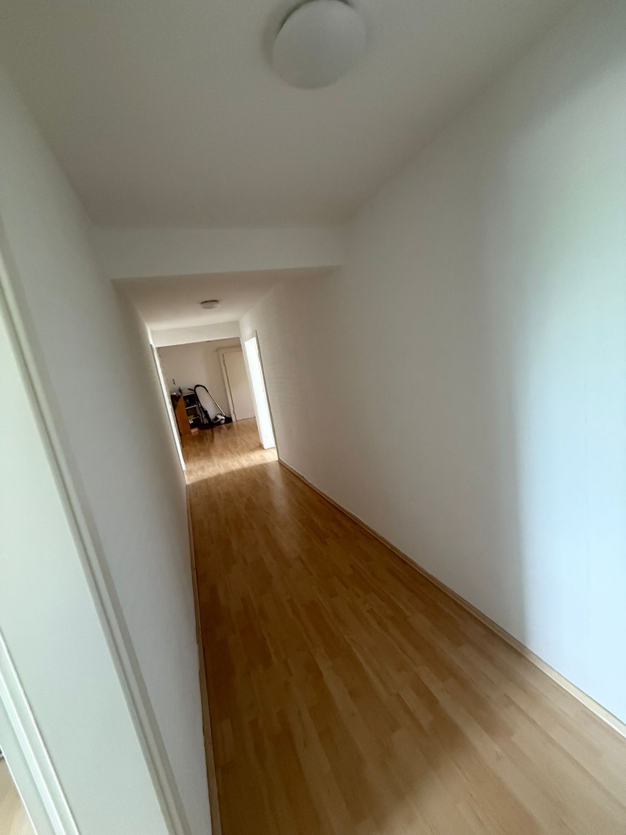 Zdjęcie 5