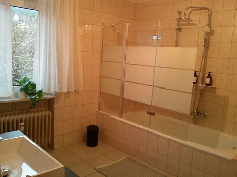 Ferienwohnung Müller - Arberblick Bild 2