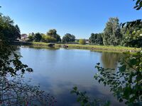 Gästezimmer Schneider Bild 13