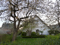 Pokój gościnny w Hollern-Twielenfleth Zdjęcie 1