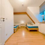 Ferienwohnung Marktplatz Bild 7