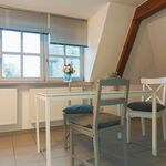 Ferienwohnung Marktplatz Bild 5