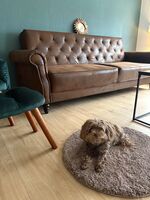 Ferienhaus / Business Haus Salzgitter Nähe Stadtpark Zdjęcie 4