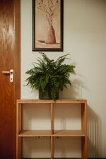 Apartment v Bretzfeld Obrázok 15