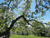 Ferienwohnung Agnes Bild 21