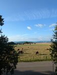 Ferienwohnung Seeling Weserbergland Picture 6