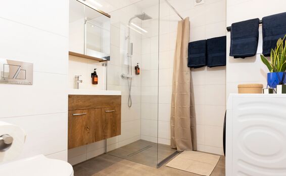 Apartment in Stuttgart Picture 5