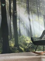 GRÜN - möbliertes Wohnen mit 2 Schlafzimmern in Siegen Picture 10
