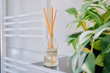 Apartment in Celle Picture 16