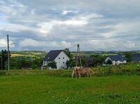 Ruhiges Zimmer auf dem Land Bild 1