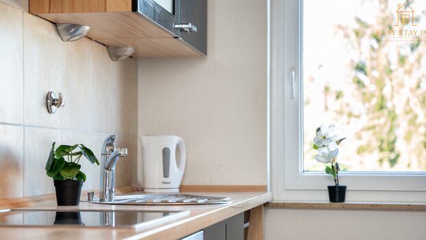 Apartment in Braunschweig Picture 2