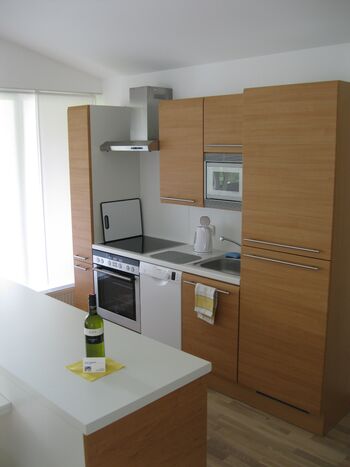 Traunapartment Bild 2