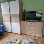 Großer Schrank und TV