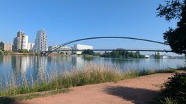 Cooles Studio direkt am Rhein Bild 5