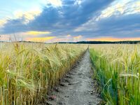 Hochwertig: 4-Zi-Whg bis 6 Personen bei Tesla & Fürstenwalde Bild 30