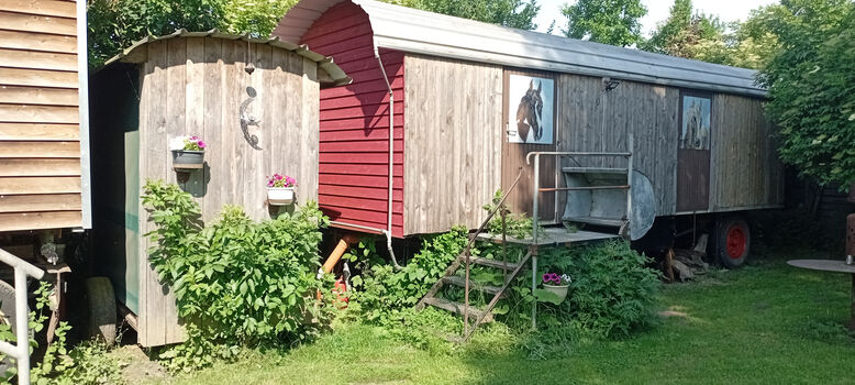 TinyHouseWagen Picture 1