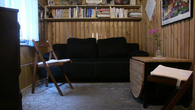TinyHouseWagen Picture 2