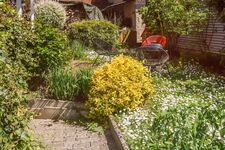 Gemütliches 2 Zimmer Apartment mit Garten und Stauraumfläche Obrázok 15