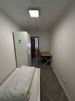 Zentrale Wohnung 1-12 Personen in Weidenau Bild 18