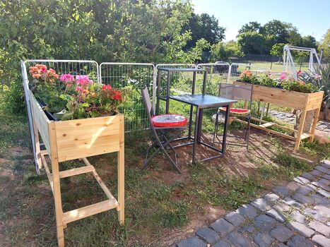 Unterkunft Havel-Biene Picture 1