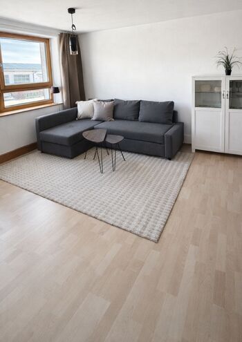 Wohnbereich mit Schlafcouch und TV