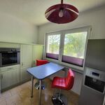 Haus mit 2 Wohnungen Bild 7