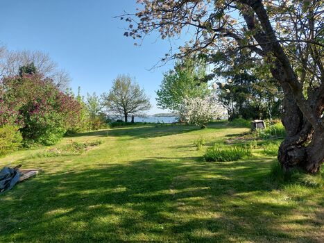 Sonne am Sund Picture 5