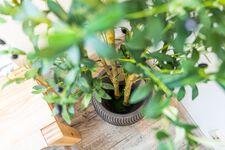 Business-Wohnung Bamberg / 3 Zimmer, Balkon, All-Inkl. Bild 15