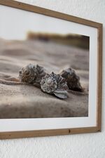 Perfektes Apartment am Iserlohner Kreuz A46 / 233 Bild 18