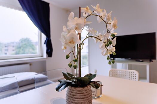 Wohnung in Krefeld Bild 3