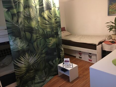 Casa Cerasum 2 Bild 4