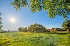 House in Glinde Picture 11