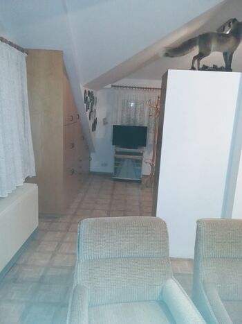 Wohnung Wahl Bild 2