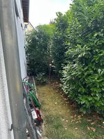 Haus an der Unterpforte Bild 22