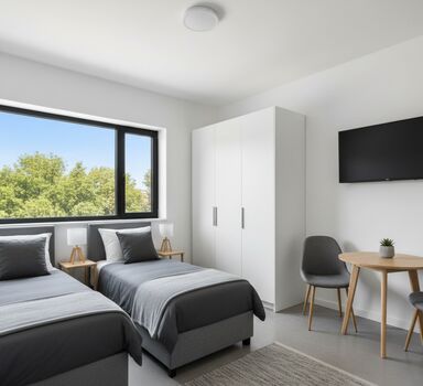 Business Apartment Krumbach Bild 4