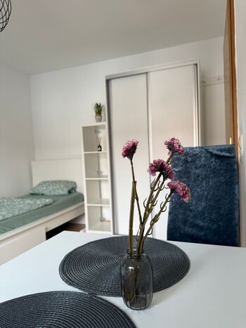 Stay4Work Lörrach / Rheinfelden / Basel / Grenzach Picture 1
