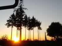 Ferienwohnung Haus am Wiesengrund Bild 8