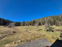 Freizeitheim „Wilhelm-Kiefer-Haus“ – Ihre Gruppenunterkunft Bild 13