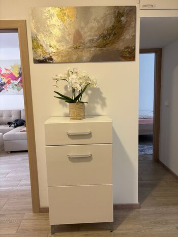 Schöne Erdgeschoss-Whg. 5 Minuten vom Hauptbahnhof Dresden Bild 3