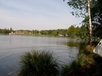 Der Thümmlitzsee (2 km)