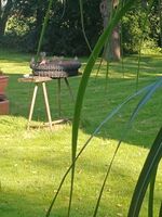 Weltenbummler "gepflegte Gastlichkeit " Picture 3