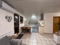 2 Wohnungen in VOLKACH TOP LAGE Picture 23